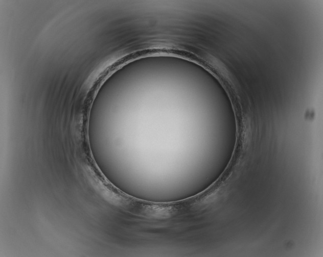 X0000112050831200908041148