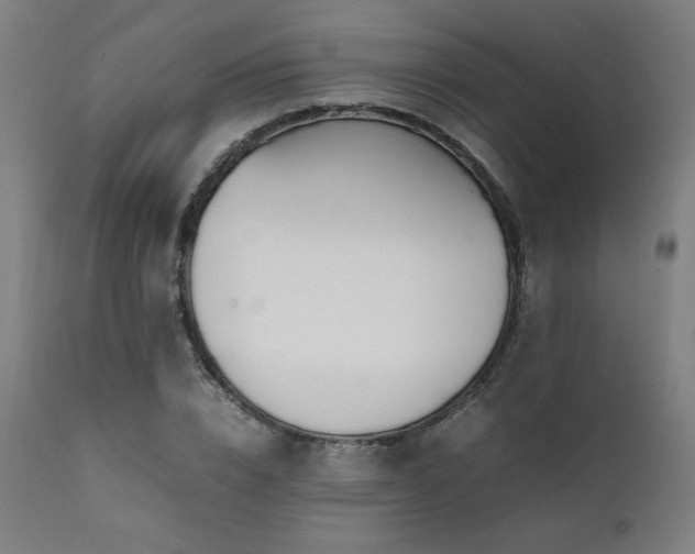 X0000112050832200908041148