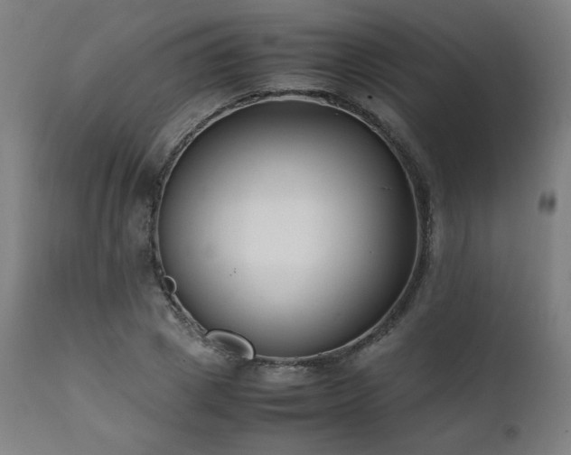 X0000112050833200908041148