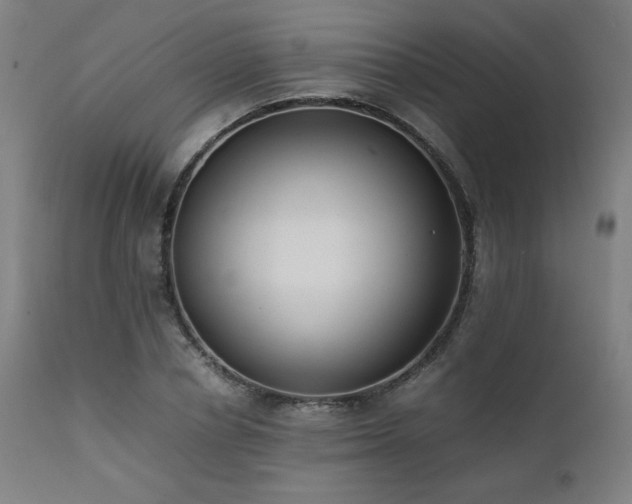 X0000112050834200908041148