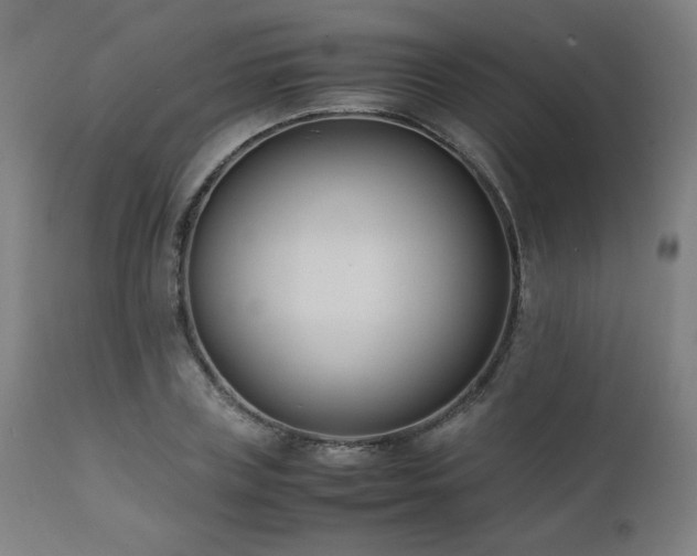 X0000112050835200908041148