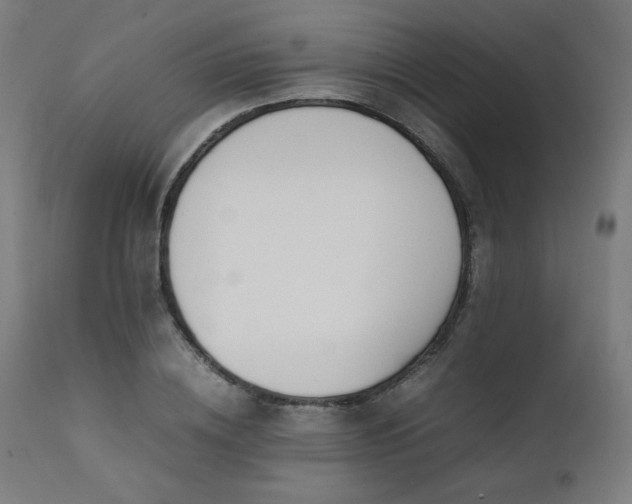 X0000112050836200908041148