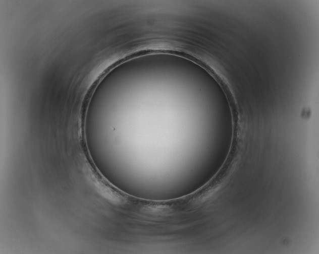 X0000112050837200908041148