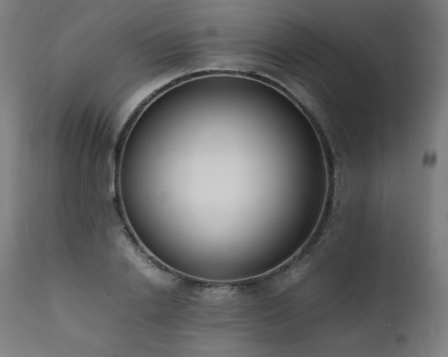 X0000112050838200908041148