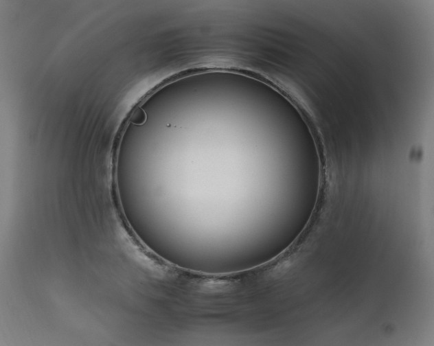 X0000112050839200908041148
