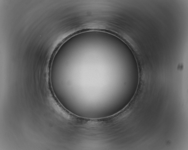 X0000112050840200908041148