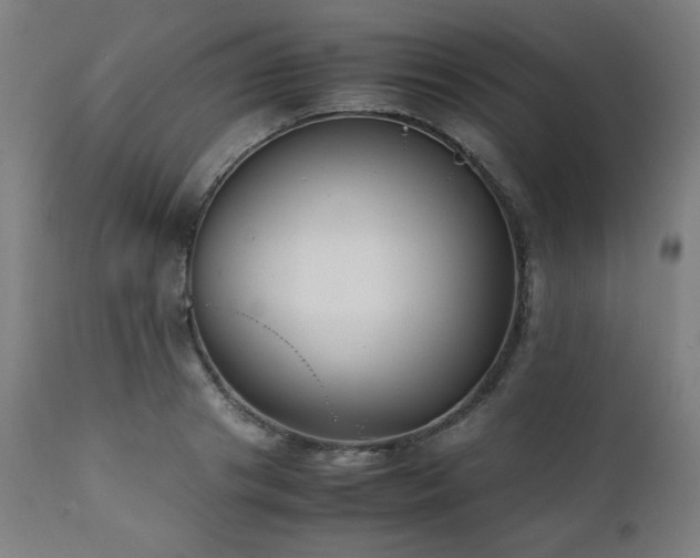 X0000112050841200908041148