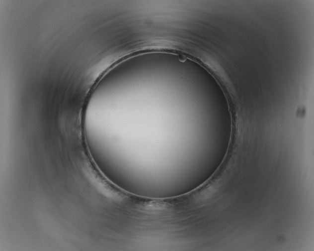 X0000112050842200908041148