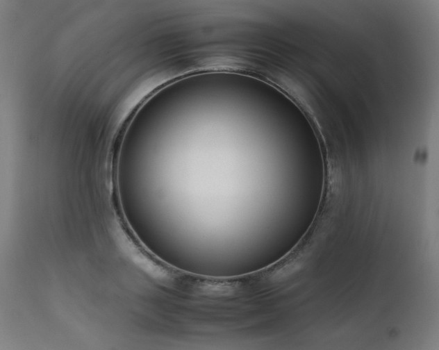 X0000112050843200908041148