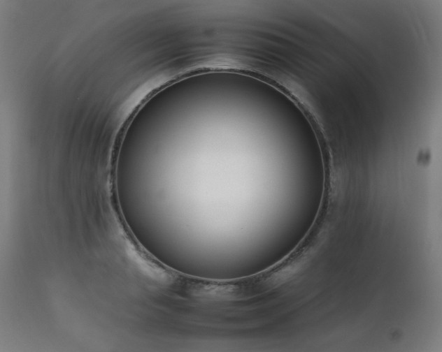 X0000112050845200908041148