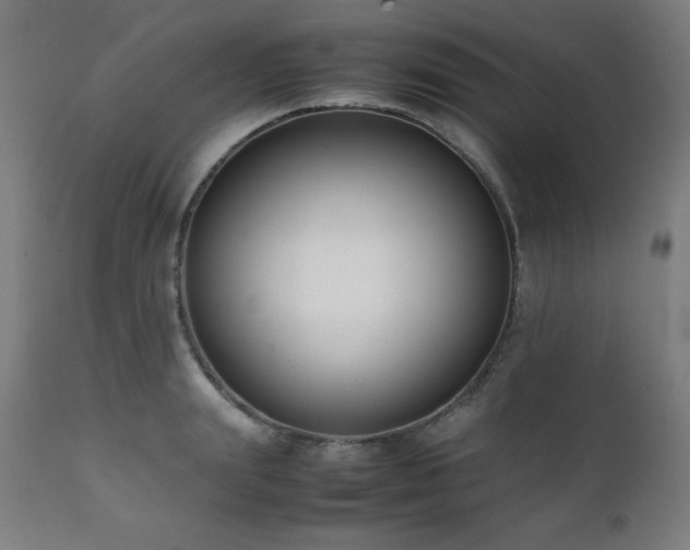 X0000112050847200908041149