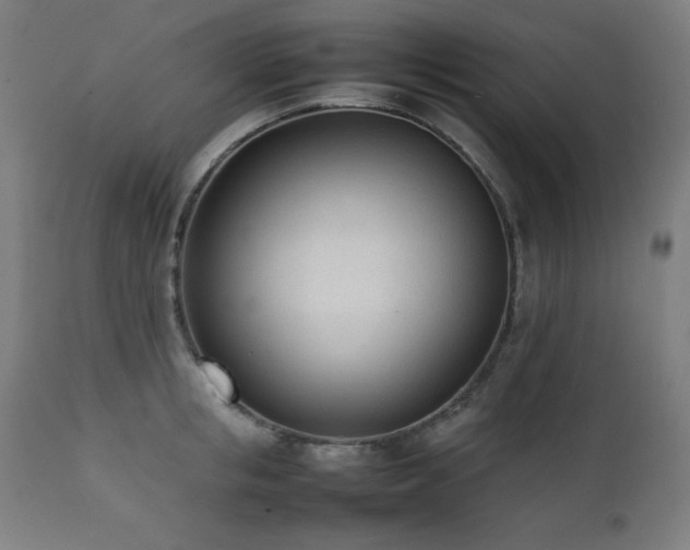 X0000112050853200908041149