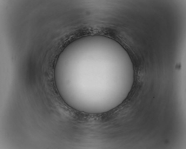 X0000112050865200908041148