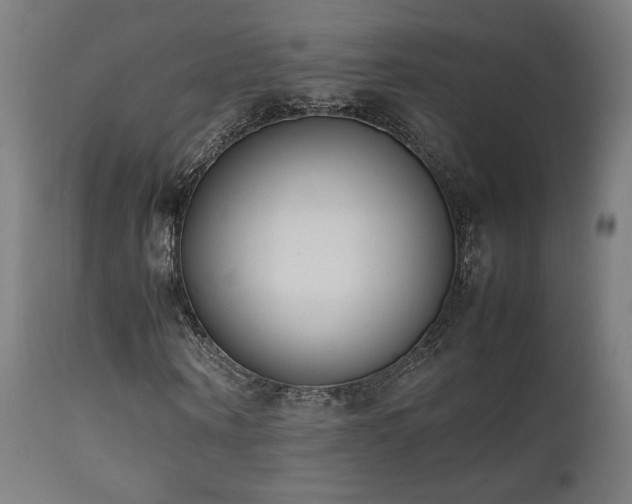 X0000112050866200908041148