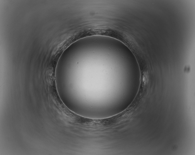 X0000112050867200908041148
