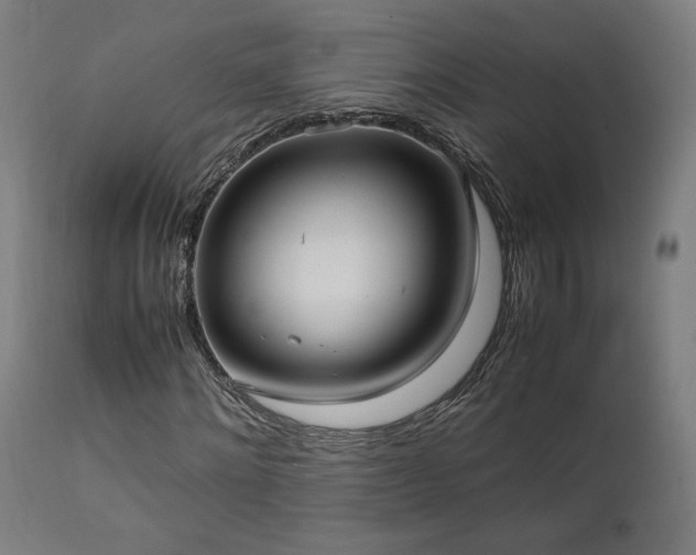 X0000112050868200908041148
