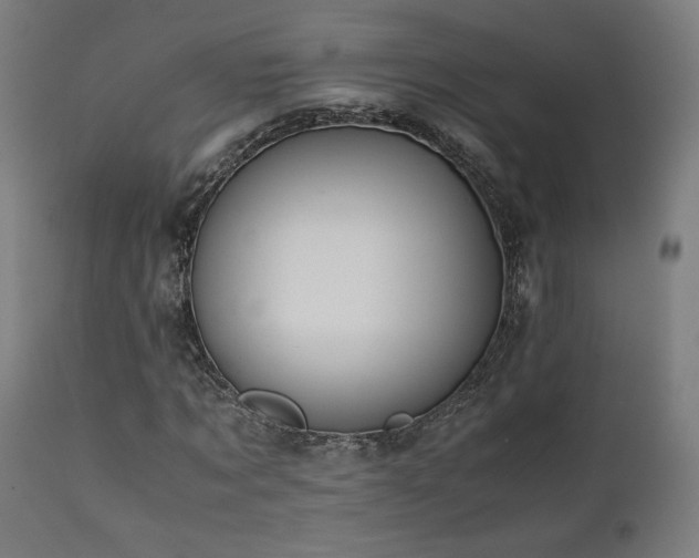 X0000112050869200908041148