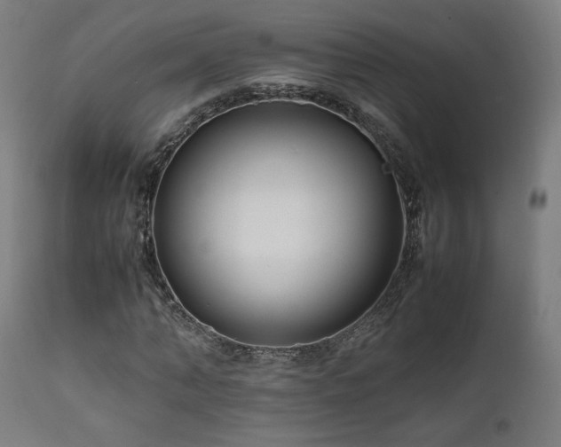 X0000112050870200908041148
