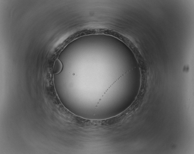 X0000112050871200908041148