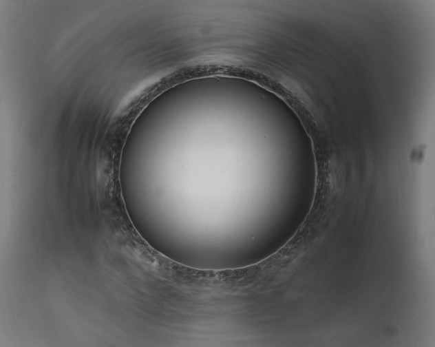 X0000112050872200908041148