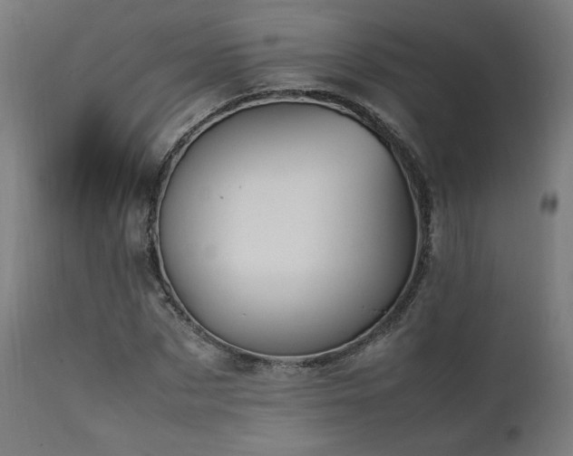 X0000112050873200908041148
