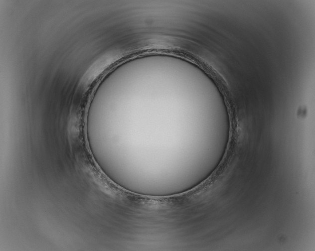 X0000112050874200908041148