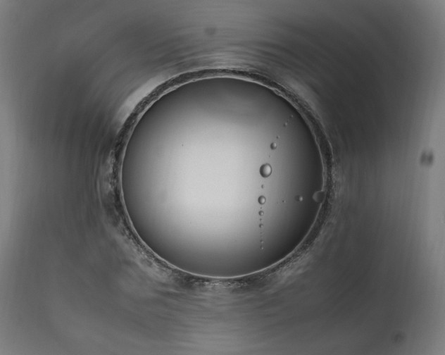 X0000112050875200908041148