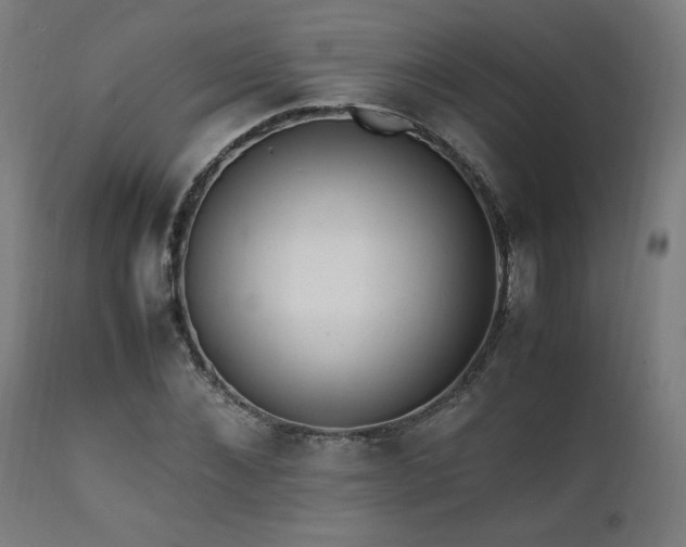 X0000112050876200908041148