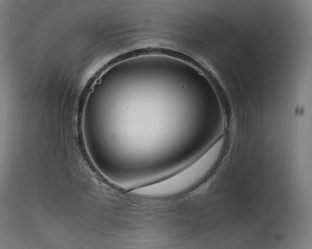X0000112050877200908041148
