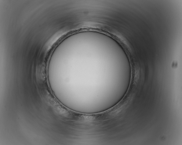 X0000112050878200908041148