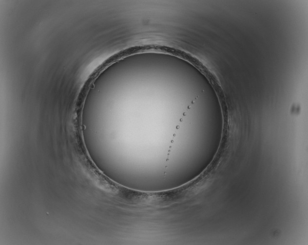 X0000112050879200908041148