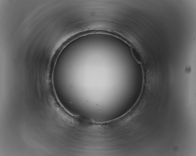 X0000112050880200908041148