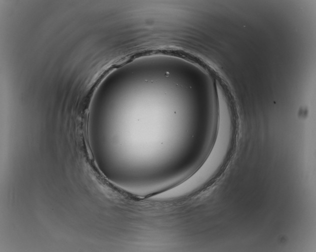 X0000112050881200908041148