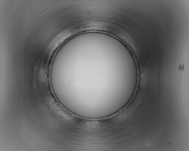 X0000112050882200908041148