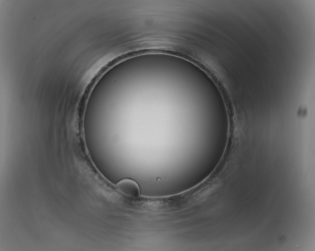 X0000112050883200908041148