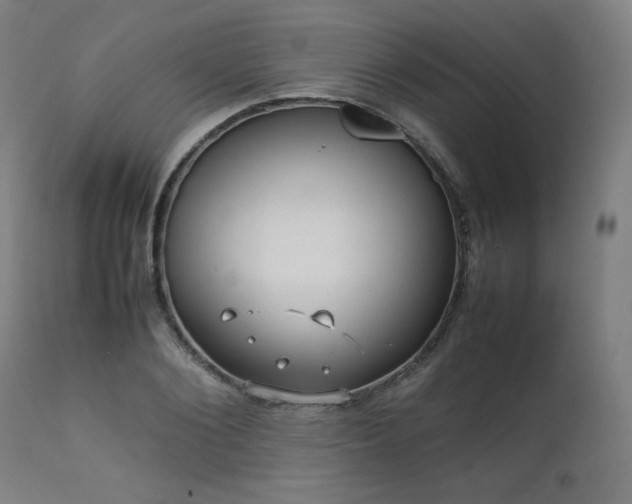 X0000112050884200908041148