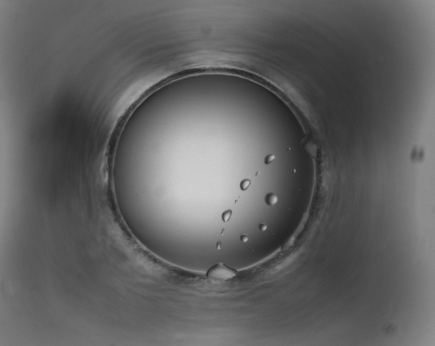 X0000112050885200908041148