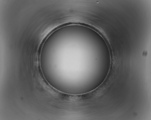 X0000112050887200908041148