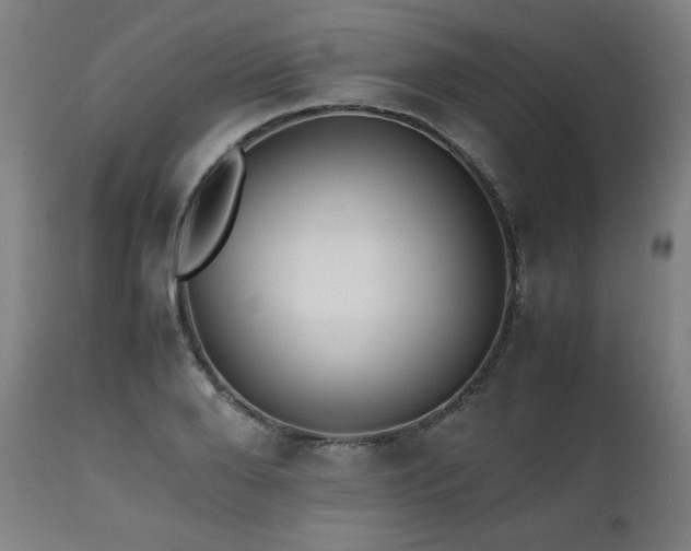 X0000112050888200908041148