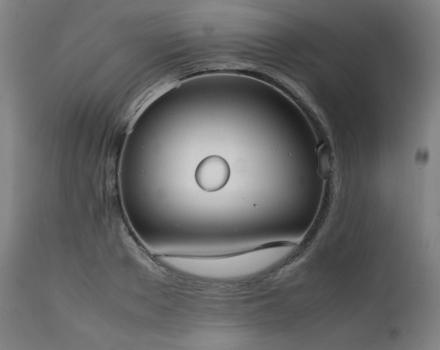 X0000112050889200908041148