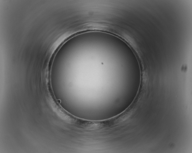 X0000112050891200908041148