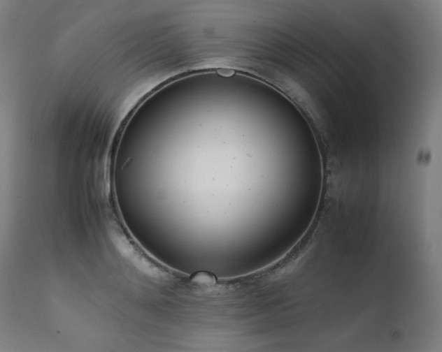 X0000112050892200908041148