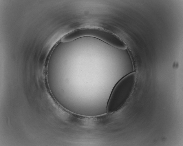 X0000112050893200908041148