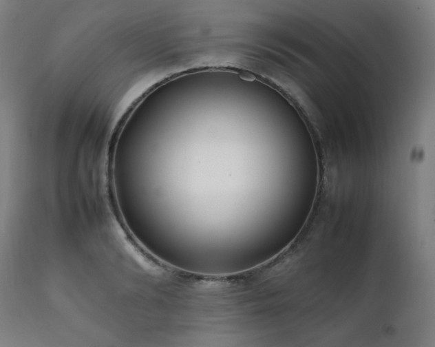 X0000112050894200908041148