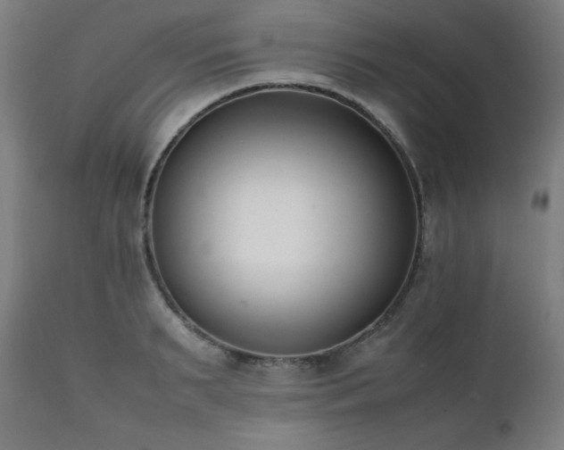X0000112050895200908041147