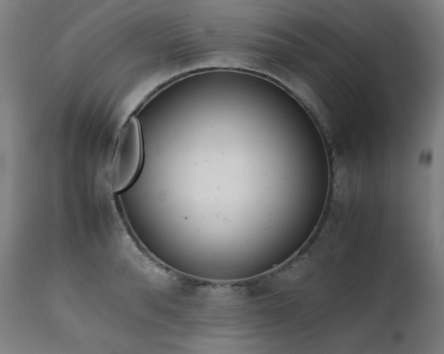 X0000112050896200908041147