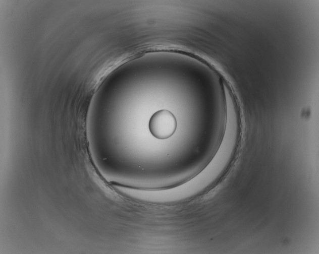 X0000112050897200908041147