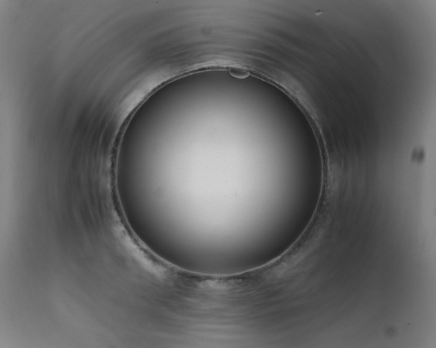 X0000112050898200908041147