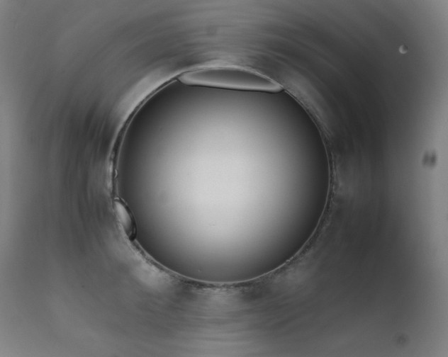X0000112050900200908041147