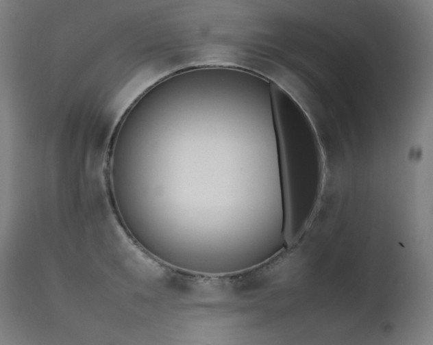 X0000112050901200908041147